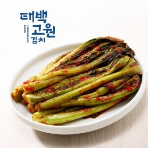 태백고원 태서식품 갓김치5kg