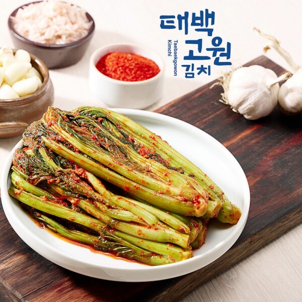 태백고원 태서식품 갓김치3kg